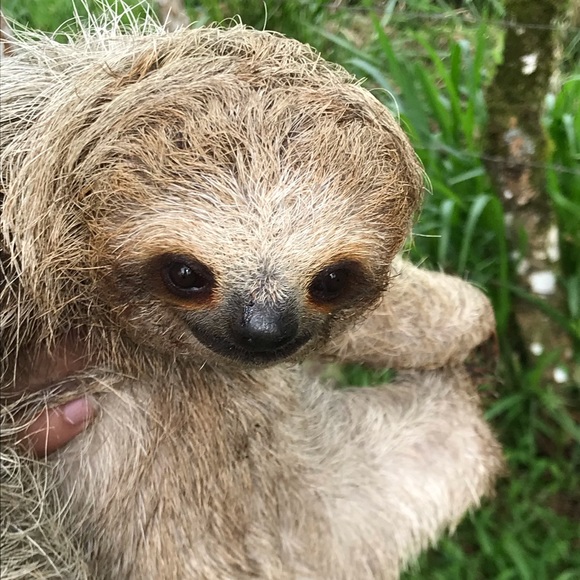 Meet your Posher, Cristin - Picture 1 of 1